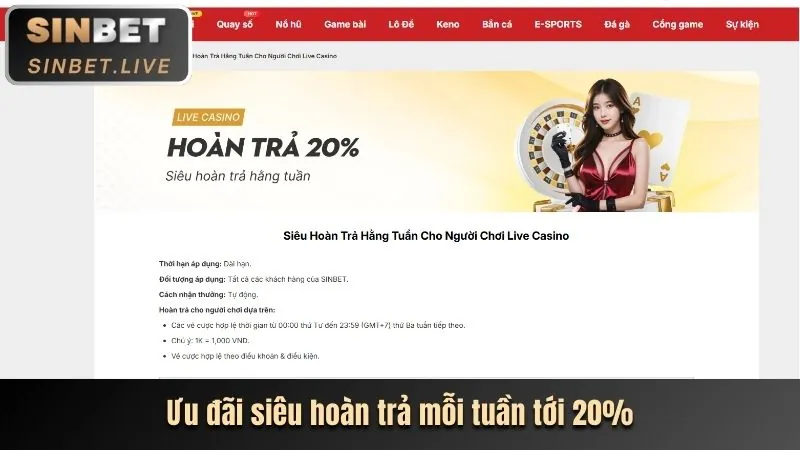 Chương trình hoàn trả không giới hạn hytw3339